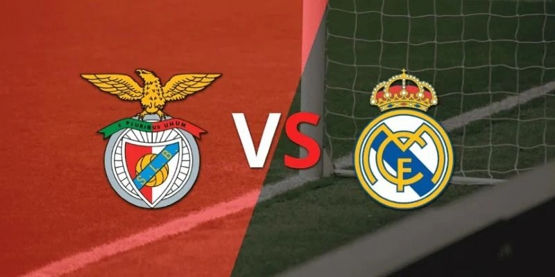 Soi kèo Benfica vs Real Madrid, 3h ngày 29/01 - Cúp C1 9 Soi kèo Benfica vs Real Madrid, 3h ngày 29/01 – Cúp C1