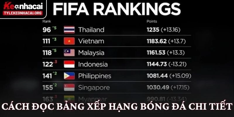 Bảng xếp hạng 7 Cách đọc bảng xếp hạng bóng đá chi tiết